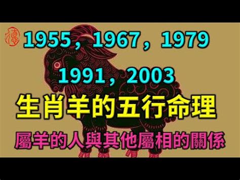 1979羊五行